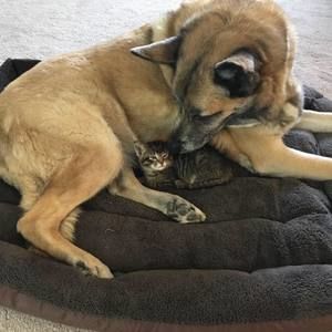 Meet your Posher, Marina